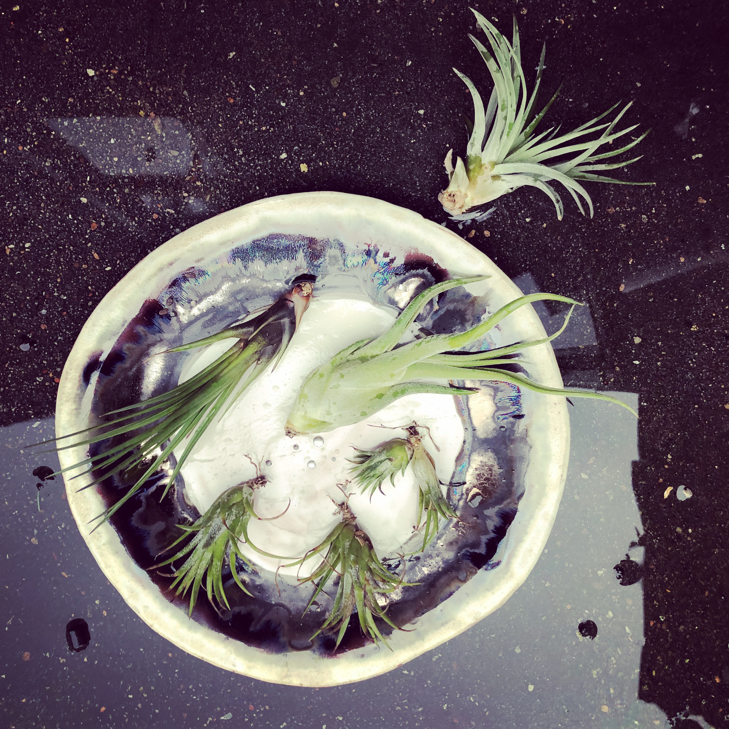 999DD6AF-2F10-473F-8700-3BBD7A575515